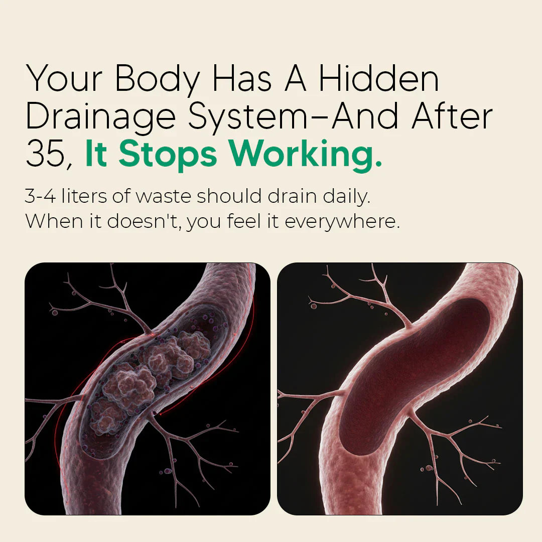 New Maximum Potency Formula - Lymphatic Drainage Drops by Sala Health™